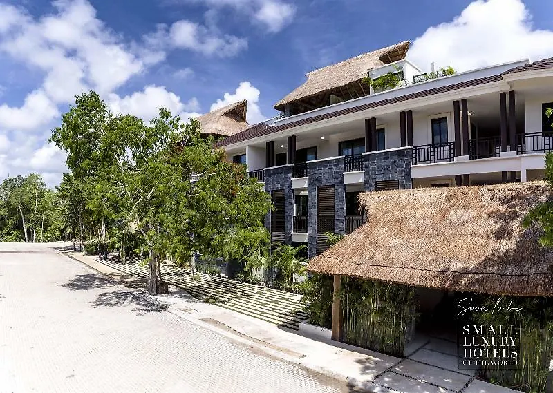 Kasa Hotel Parota 툴룸