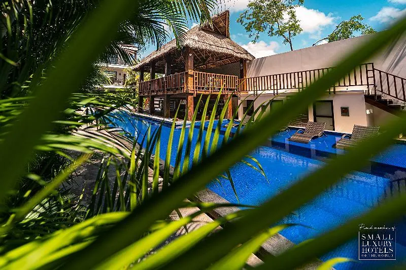 Kasa Hotel Parota 툴룸